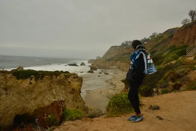 DSC_6549 (Large).JPG